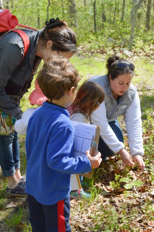Jennifer Wimmer pauses to discuss a sassafras plant she found growing at the edge of the trail. BY SETH THOMAS