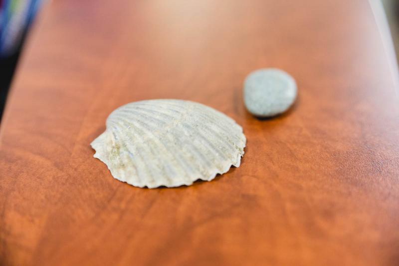 A scalloped shell beside the stone that Hathaway will leave at the Iron Cross of Ferro. BY LAUREN ZAKNOUN