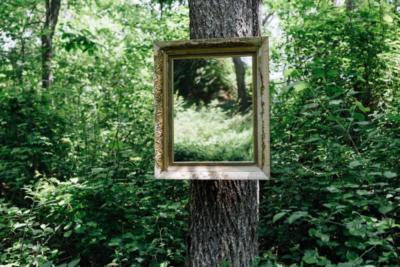 "Golden Frames" by Matthew Hincman. Four golden frames are hidden throughout the reserve. BY LAUREN ZAKNOUN
