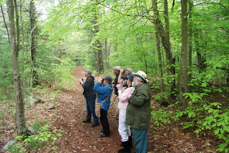 Bird Club To Lead Walk At Smith Farm Dartmouth