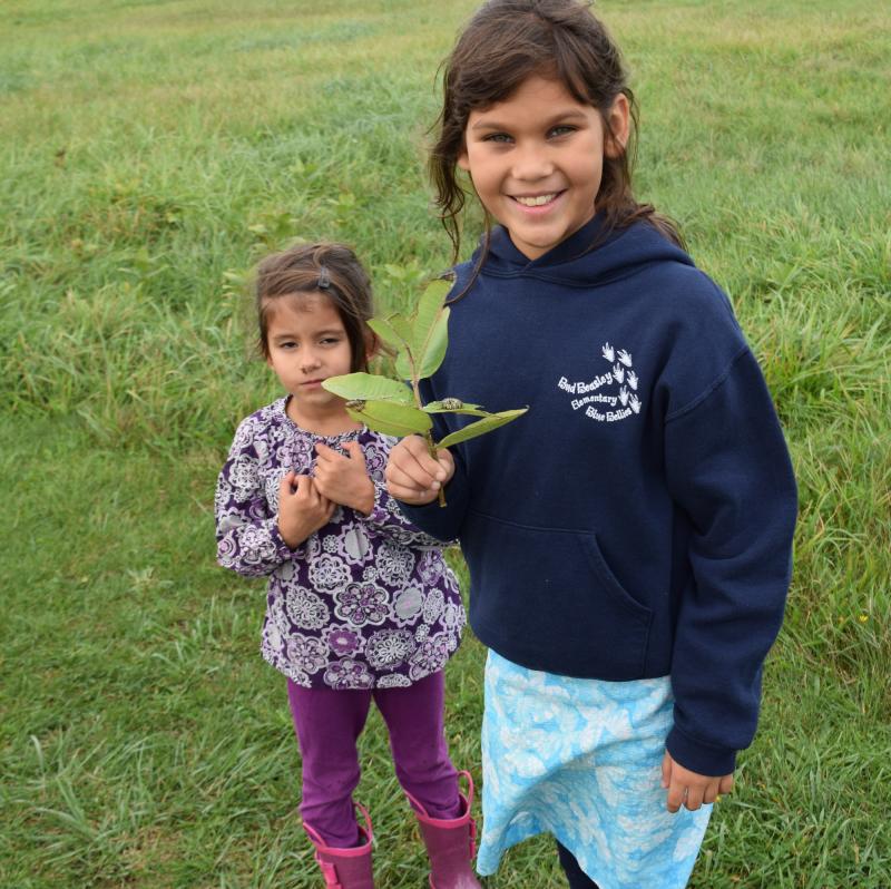Holland Sonnenburg picked a plant with a monarch butterfly caterpillar on it to bring home. BY DOUGLAS MCCULLOCH
