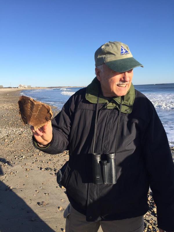 Hlousek holds up a horseshoe crab shell and explains that they are more closely related to spiders than crabs. BY ANGIE HILSMAN