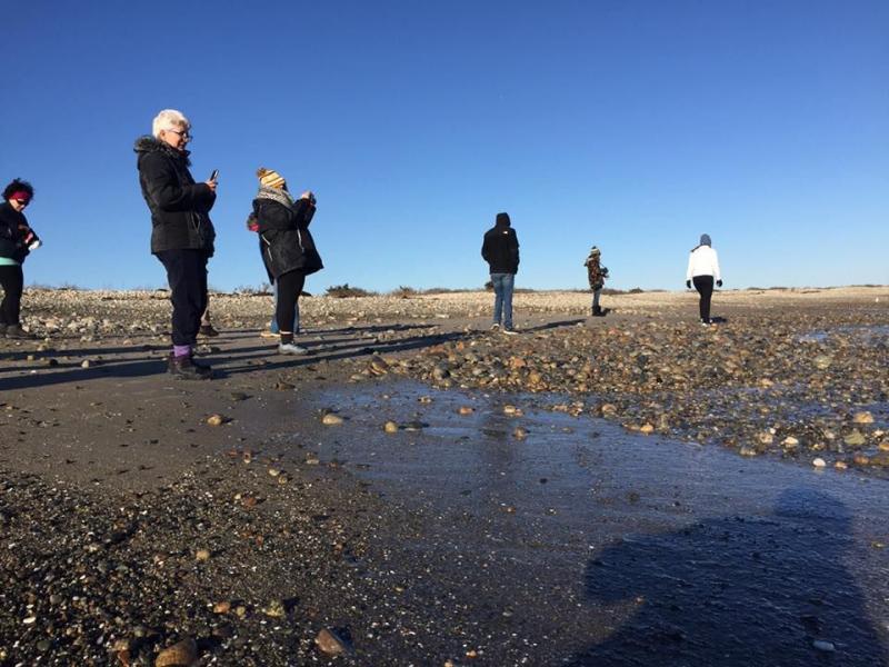 The water level was at low tide, which allowed attendees to find all sorts of marine life in the rocks. BY ANGIE HILSMAN