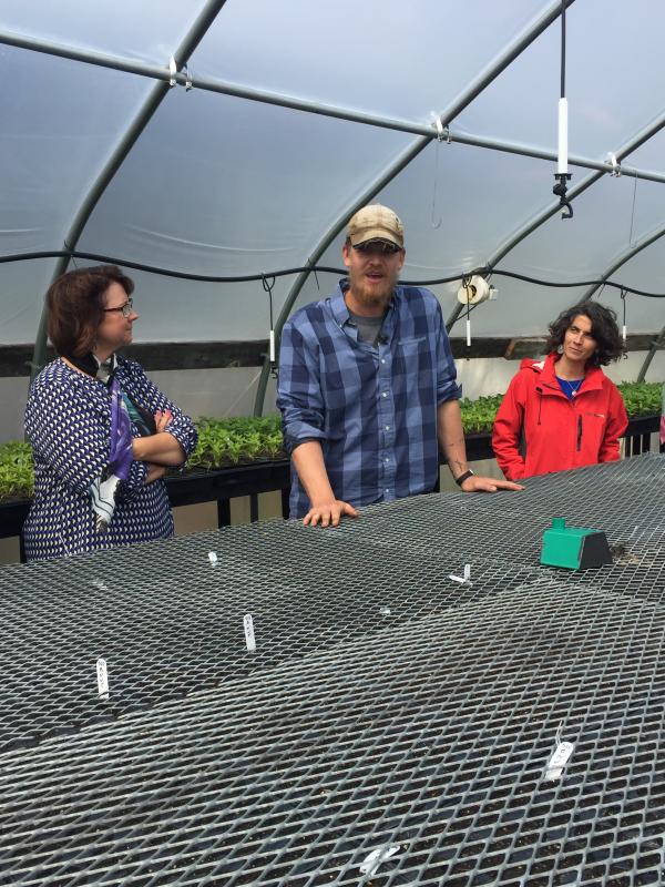 Farm Director Dan King explains how the Fenway sensor — the little green box on top of the caged plants — helps him gauge temperature around the greenhouse. BY ANGIE HILSMAN