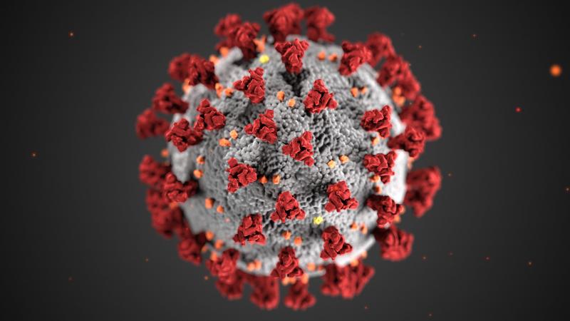 Dartmouth Week - Dartmouth, MA news - A rendering of the coronavirus. Image courtesy: CDC