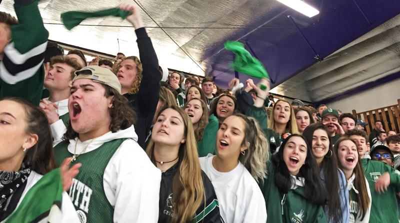 Dartmouth High hockey out of states after hard-fought section final ...