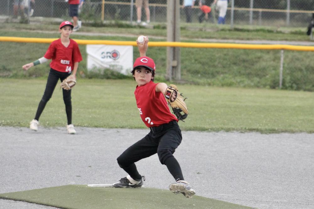 Batter up! It's time for Little League baseball summertime fun