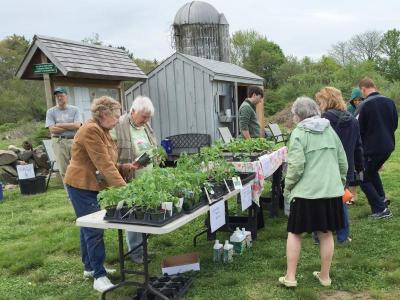In addition to the workshop, Community Gardening Day included a potluck lunch and plant sale. BY SETH THOMAS