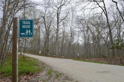The first phase of construction will be improvements to the roadway. The two-way road will be widened, a new parking lot will be built and a turnaround for buses will be incorporated into the layout. BY SETH THOMAS
