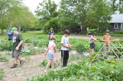 Members from three of Massachusetts' Granges gathered at Dartmouth Junior Grange's garden. BY SETH THOMAS