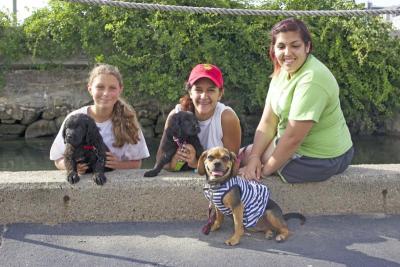 (From left) Andrea Roy, Fallon Gonsalves, and Kate Natal take a break with some furry friends following the day's races. BY NICK WALECKA