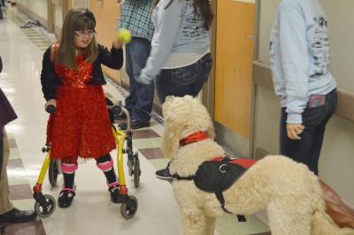 Molly throws a ball to Tina the Goldendoodle after her interview with an WPRI news anchor. BY SETH THOMAS