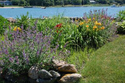 Hostas, Nepeta, Stella D’oro lilies, these are just a small sampling of the garden varieties for sale in Bicentennial Park this weekend. BY LIZ HATCH