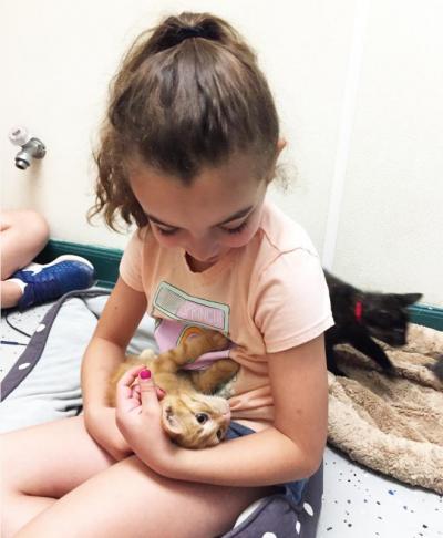 Addison Simmons, 8, holding Rex the kitten