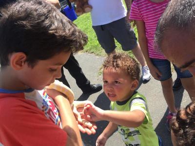 Reyes holds the python while Jason Rivera, 2, reaches for it