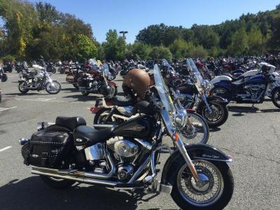 A parking lot full of Harleys and other motorcycles.
