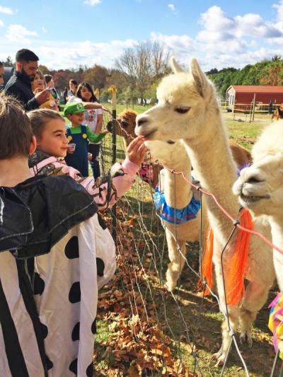 Caleb Kron, 10, turns to grab more treats while sister Tessa, 7, feeds the animals.