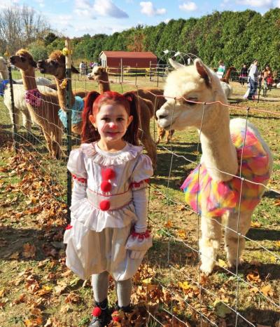 Analiese Avila, 5, poses in front of an alpaca in a tutu.