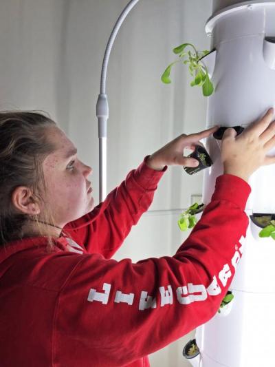 Eighth grader Kenzie Almeida transplants new seedlings into a hydroponic tower. Photo by: Kate Robinson