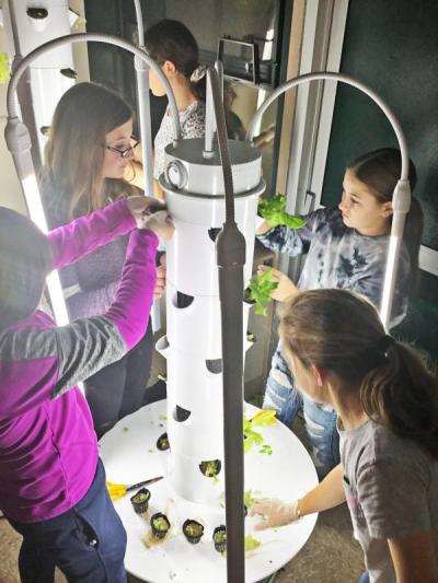 The club transplants seedlings into a tower. Photo courtesy: Dartmouth Middle School/Twitter