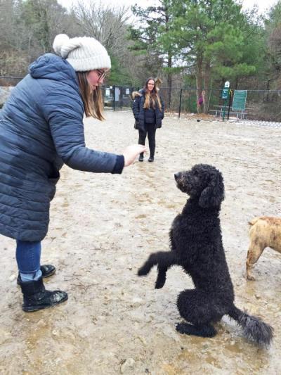 Dartmouth, MA news - Danielle goes in for a high five after Rizzo shows off his sitting abilities