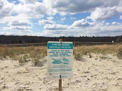 Dartmouth Week - Dartmouth, MA news - A sign warning beachgoers about the threatened birds