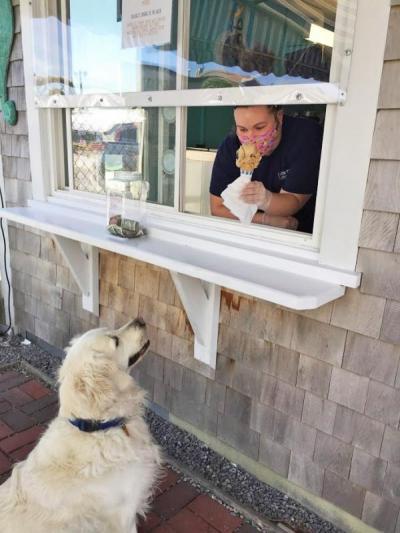 Dartmouth Week - Dartmouth, MA news - Ashley Reyes hands out ice cream as the dog waits patiently for its turn. Photo by: Kate Robinson