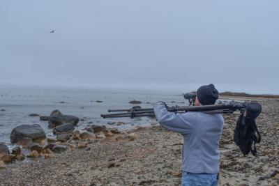 Dartmouth Week - Dartmouth, MA news