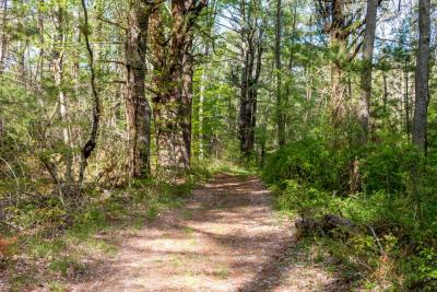 The red trail was wide, flat, and featured few if any obstructions, making it a highly accessible trail.