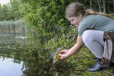 Rari Avila, 8, releases a fish she just caught back into the pond. This fish won her third place in the girl’s category of most fish by weight.