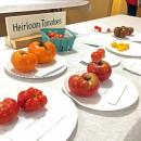 Heirloom tomatoes on display at the fair.