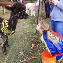 Six-year-old Sophia Rice of Plymouth gazes at the animals.