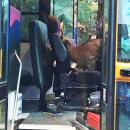 Dartmouth, MA news - A deer crashed through the windshield of a Dartmouth Public School bus in October. Although injured, the driver made sure the kids were all safe. Photo courtesy: Jennifer Reilly