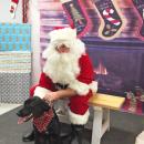 Dartmouth, MA news - Humane Society Christmas - Black lab puppy Ruby eventually settled down long enough for a photo.