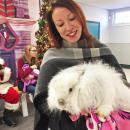 Dartmouth, MA news - Humane Society Christmas - Fonteneau holds Angora rabbit Calliope.
