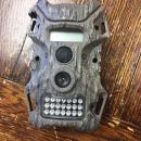 Dartmouth, MA news - The second of the two motion-activated wildlife cameras used by the class
