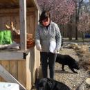 Dartmouth Week - Dartmouth, MA news - 