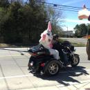 Dartmouth Week - Dartmouth, MA news - The Easter Bunny also made an appearance