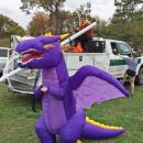 Dartmouth Week - Dartmouth, MA news - A stray dragon wandered the field.