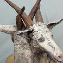 ceramic sculpture