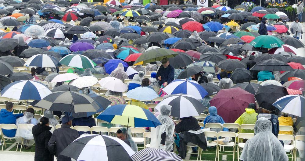 A sea of umbrellas made up Cressy Field.