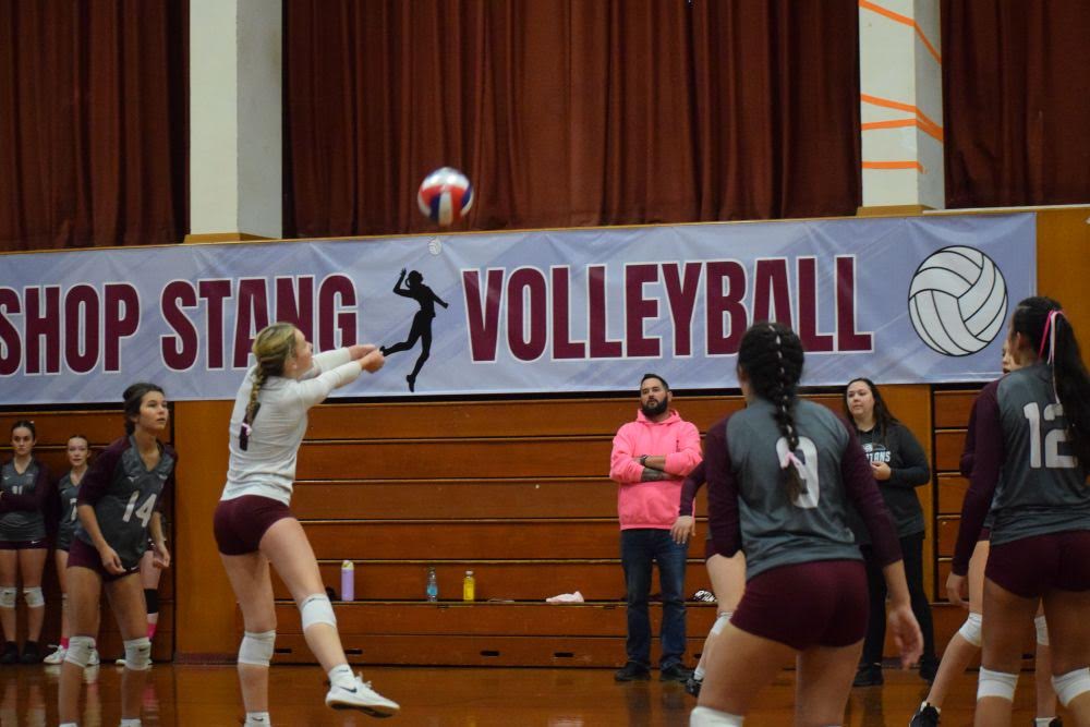 Laura Zuther hits the ball. vball