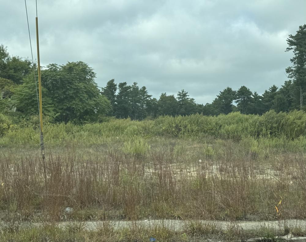 The plot of land on State Road. Photo by Kat Sheridan l
