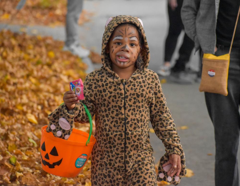 Marching down Elm Street dressed as a jaguar in Padanaram's 2024 Halloween Parade. Photo by Leighah Beausoleil jaguar
