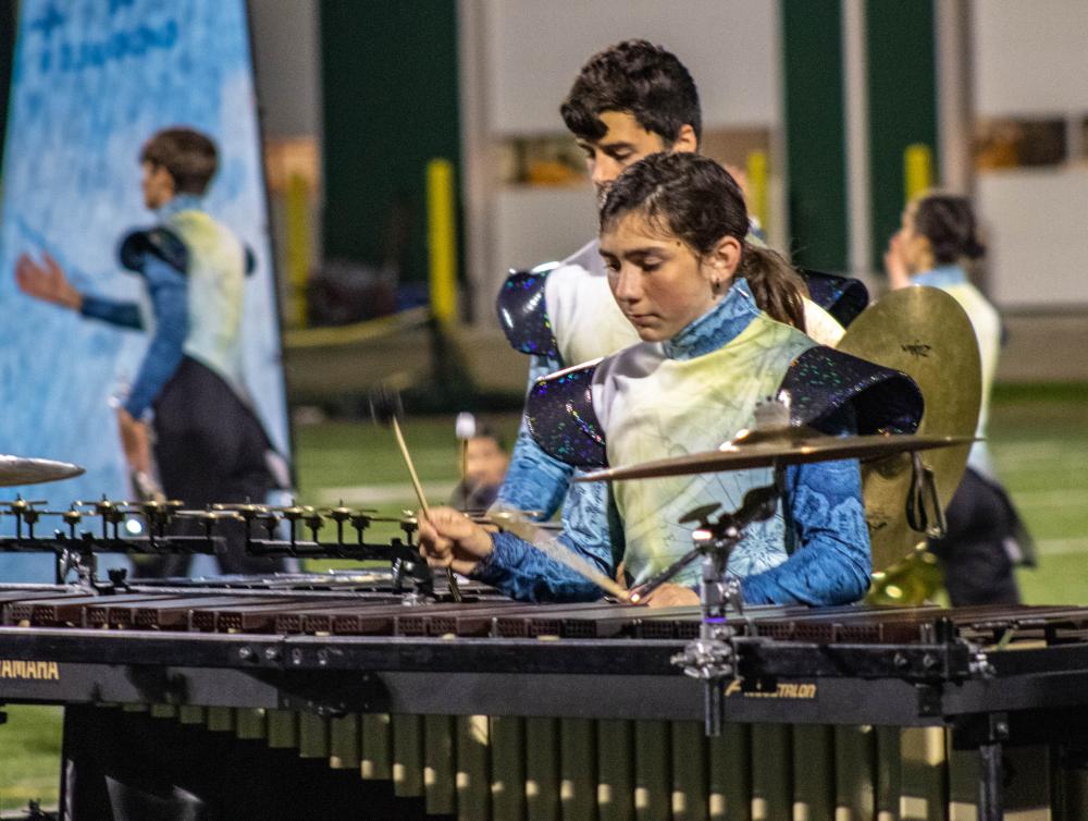A percussionist. d