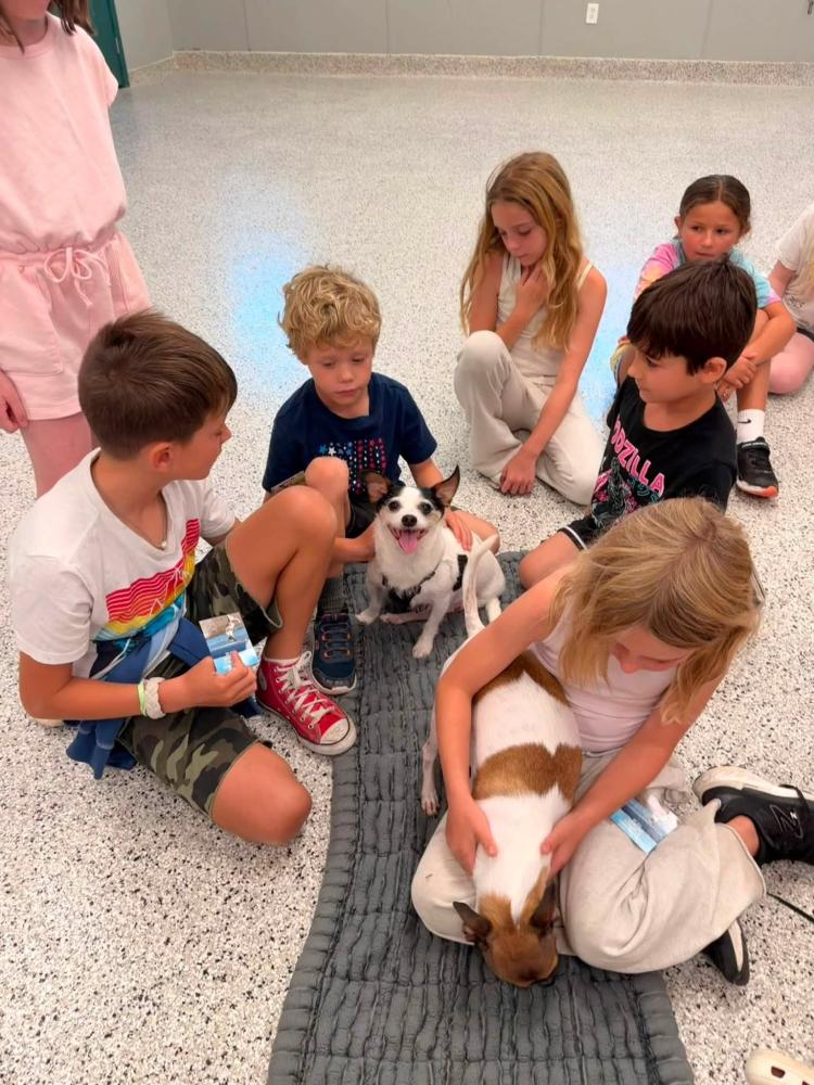 The kids meet a puppy. Source: Humane Society and Shelter Southcoast Facebook