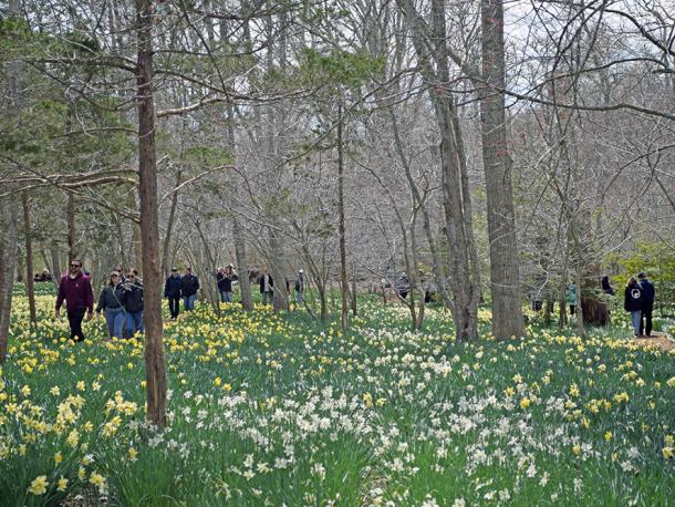 Nearly 600 visited the fields on Monday. Photos by Kat Sheridan. 