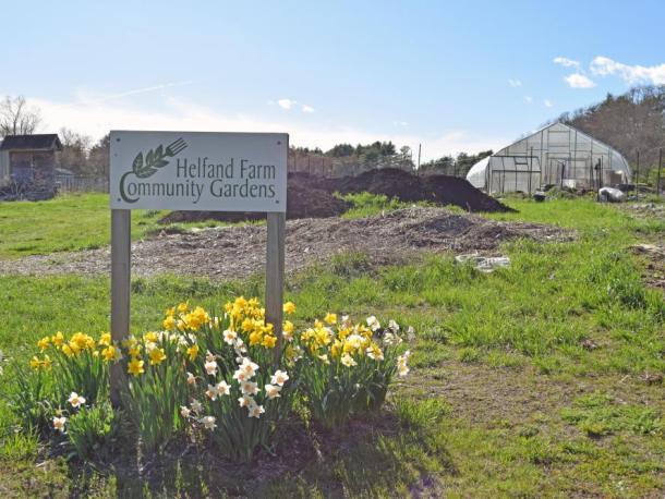 Helfand Farm. Photos by Kat Sheridan