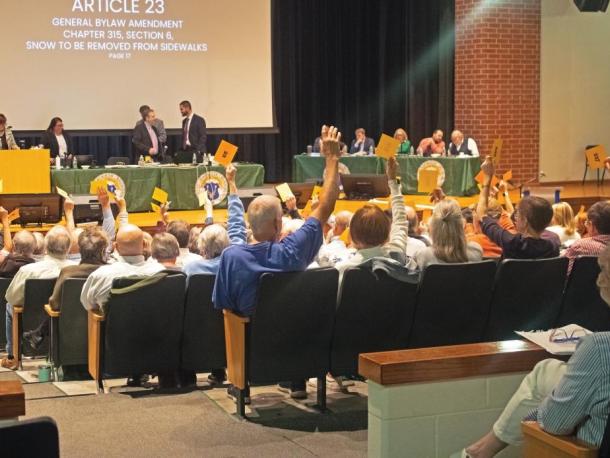Town Meeting
