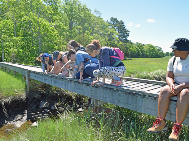 The group looks for creatures in the water. Photos by Kat Sheridan
